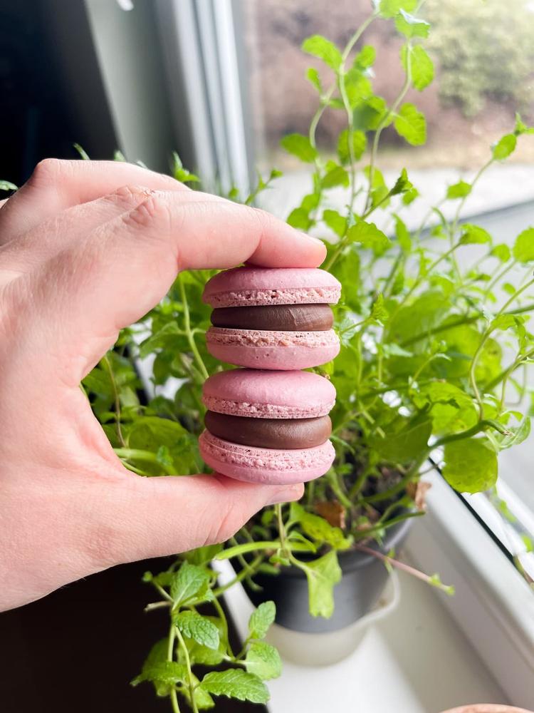 Milk chocolate with sea salt macarons