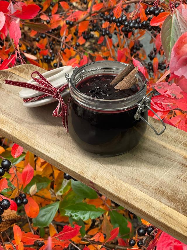 Ariona chutney med julekrydder